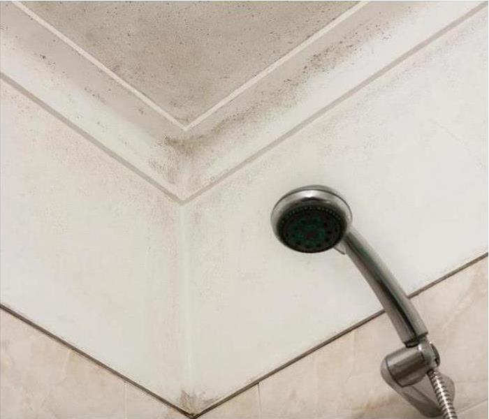 Shower Handle with small gray spots on wall of shower