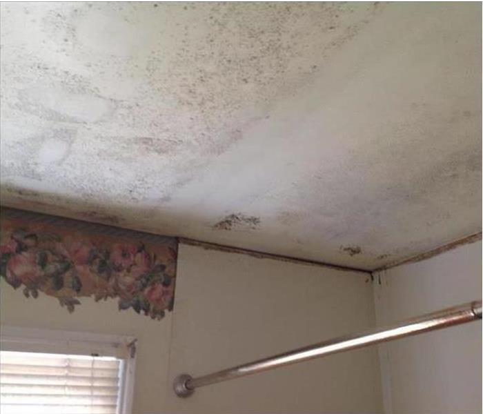 Ceiling with small spots of grey and black mold