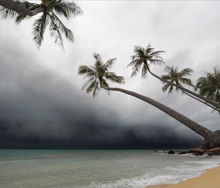 Palm Trees by Ocean and Dark sky looming overhead