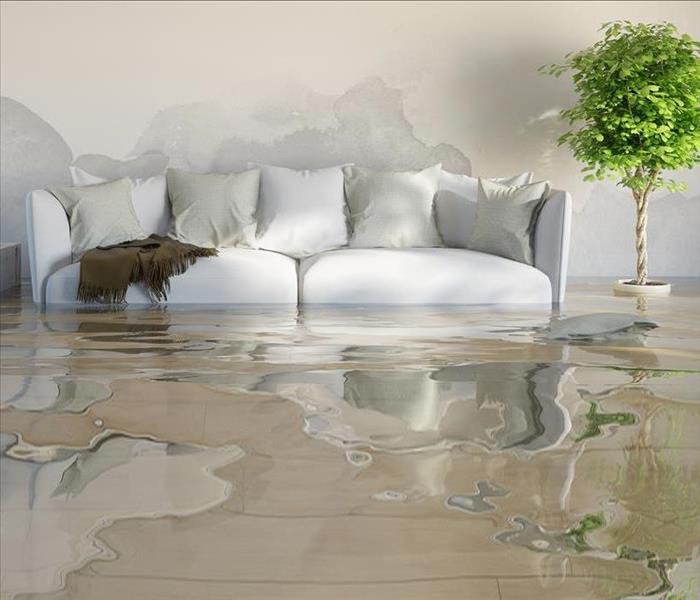 Standing water up to couch cushions